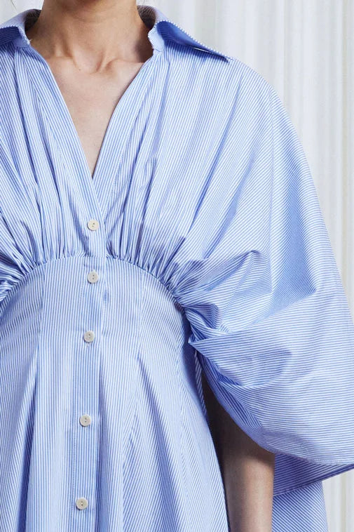 The Resilient Dress in Blue Cotton Poplin Stripe – palmer//harding